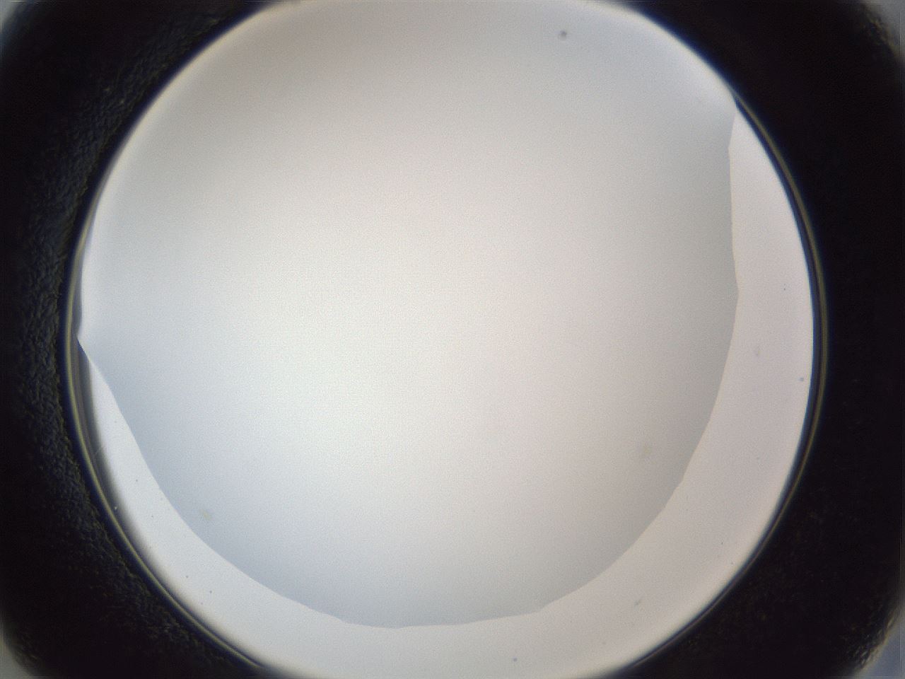 folderID165_plateID1165_batchID3067_wellNum13_profileID1_d2_r61112_ef.jpg
