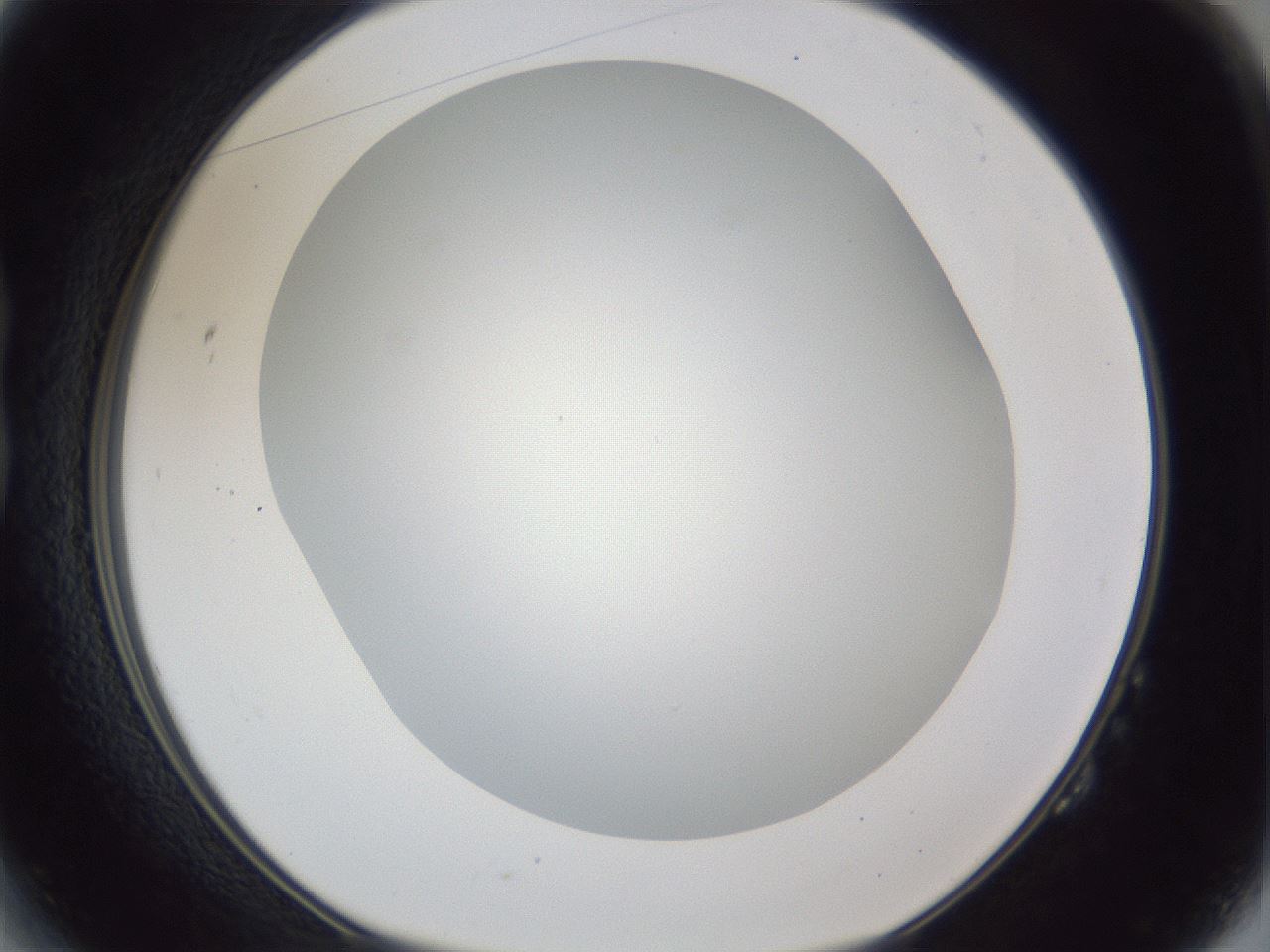 folderID165_plateID1165_batchID3067_wellNum14_profileID1_d1_r61113_ef.jpg