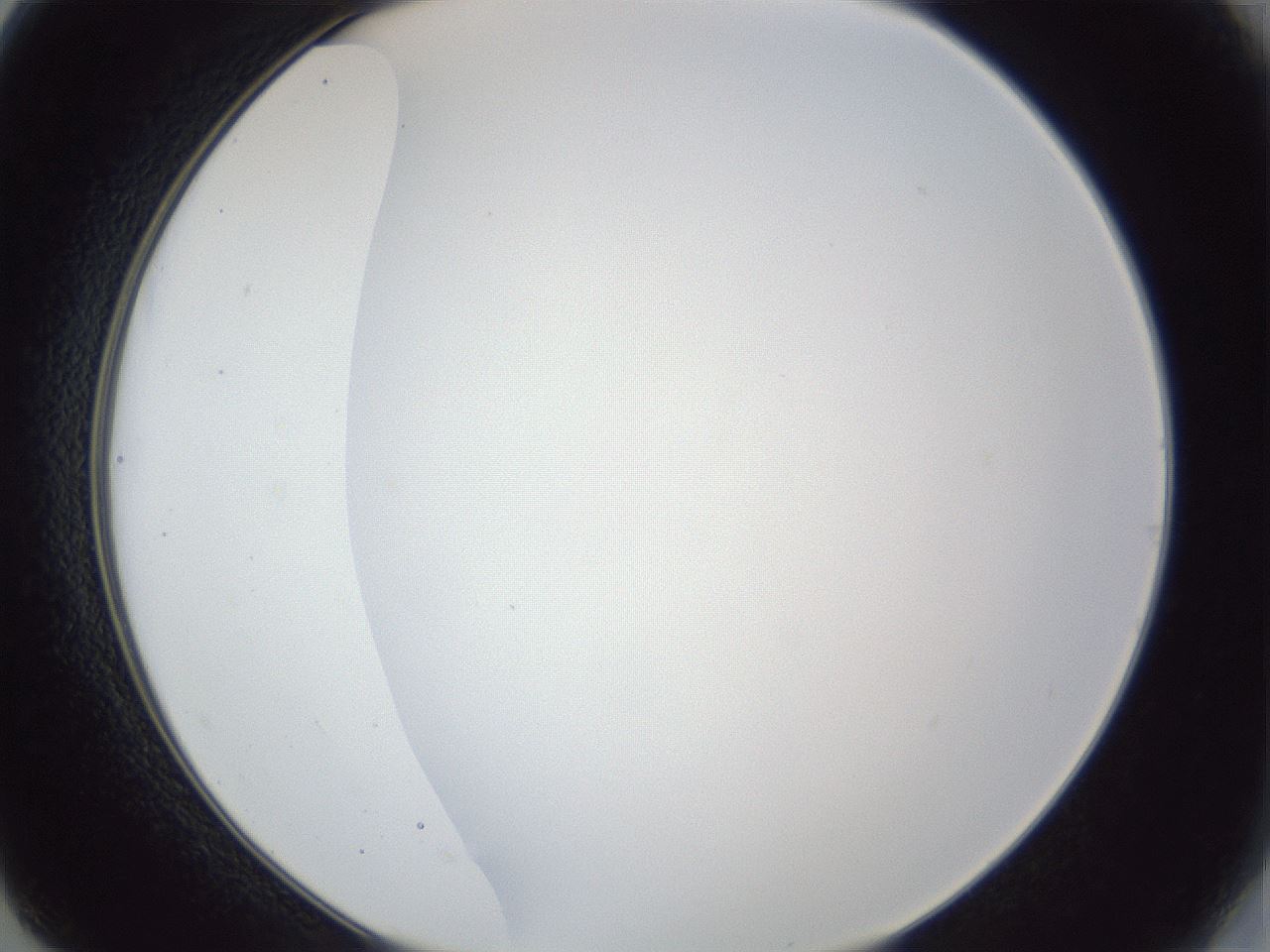 folderID165_plateID1165_batchID3067_wellNum14_profileID1_d2_r61114_ef.jpg