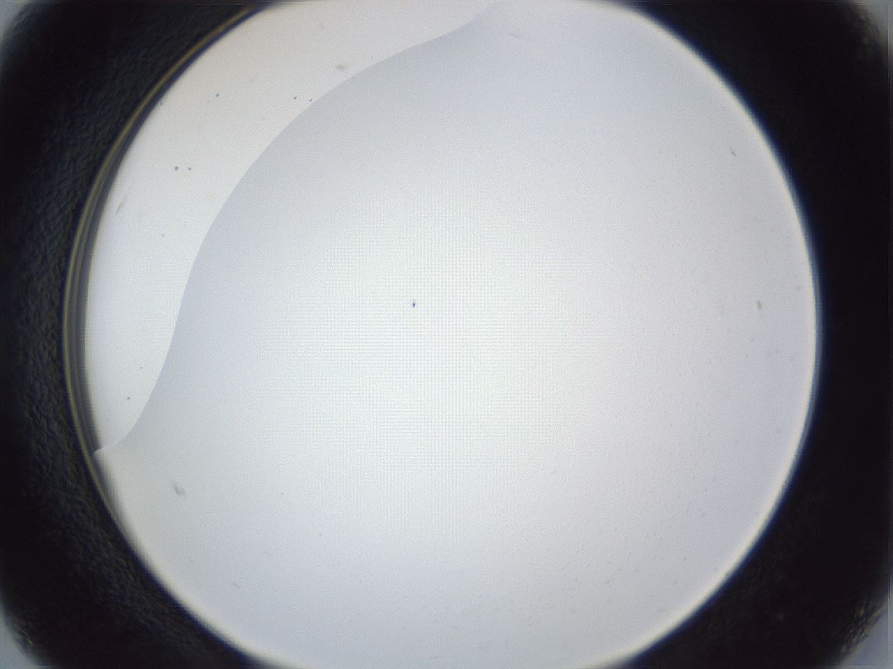 folderID165_plateID1165_batchID3067_wellNum15_profileID1_d2_r61116_ef.jpg