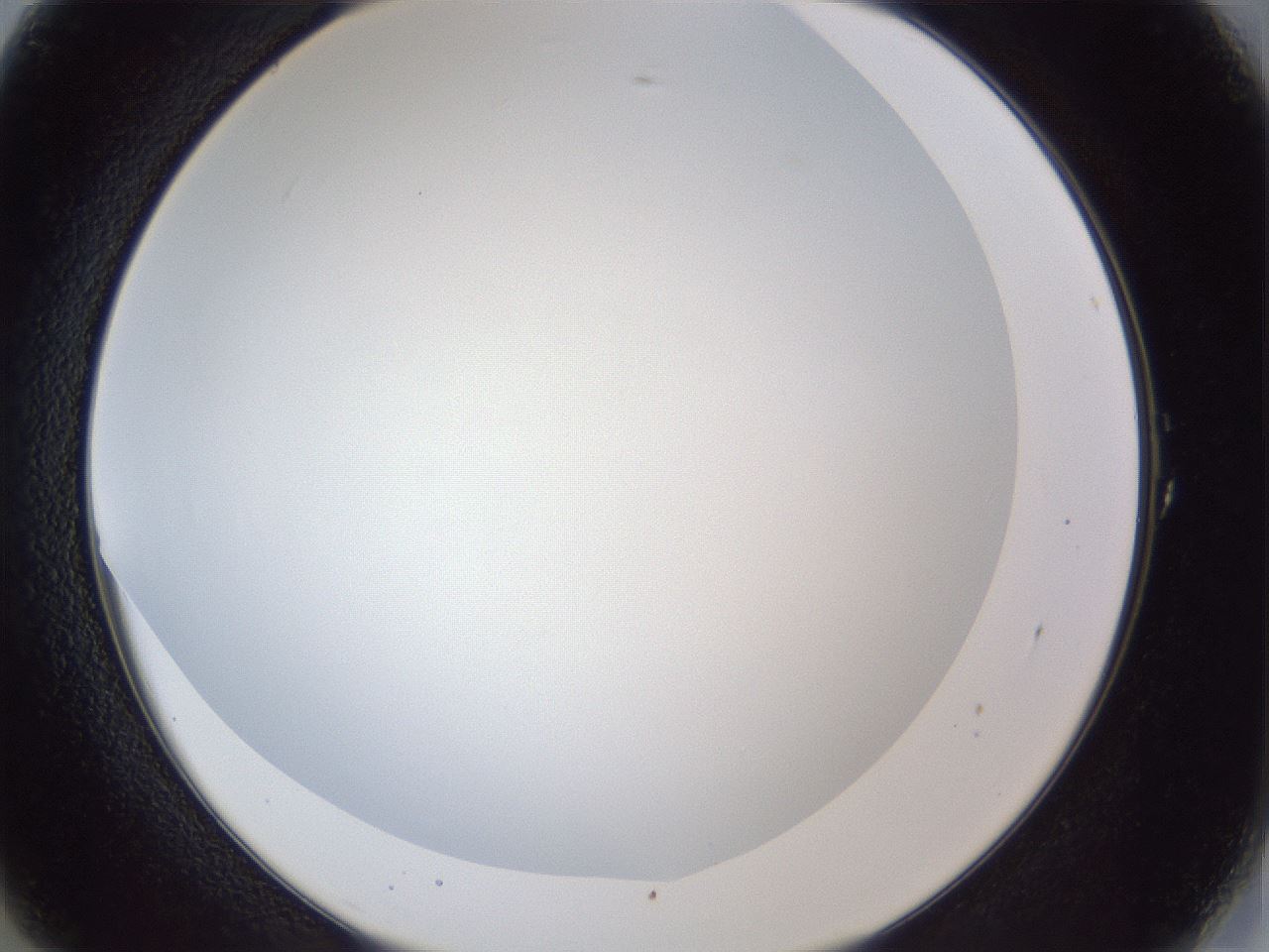 folderID165_plateID1165_batchID3067_wellNum1_profileID1_d2_r61088_ef.jpg