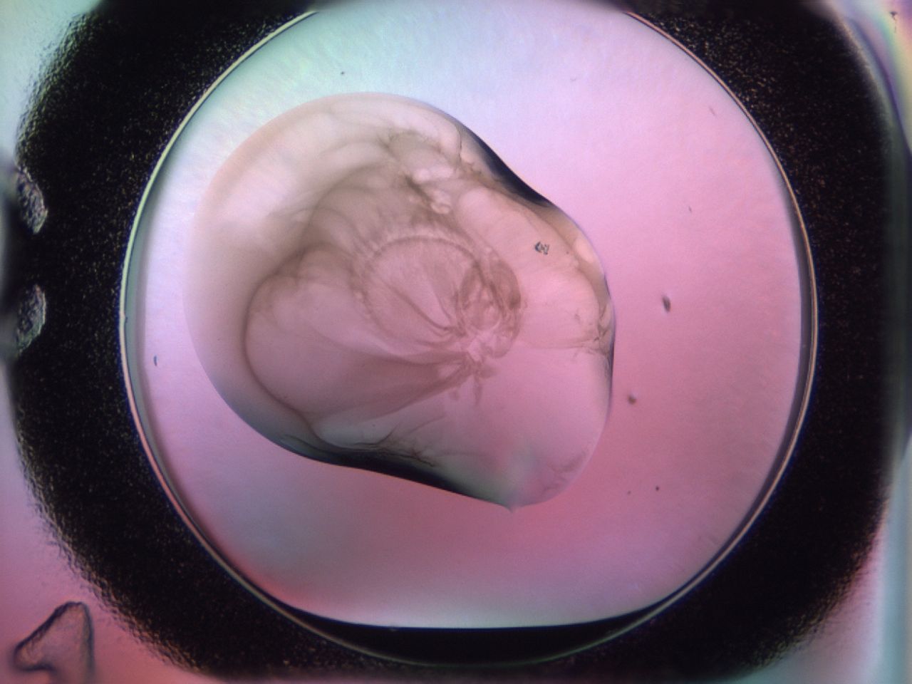 02i2_C11_ImagerDefaults_6.jpg