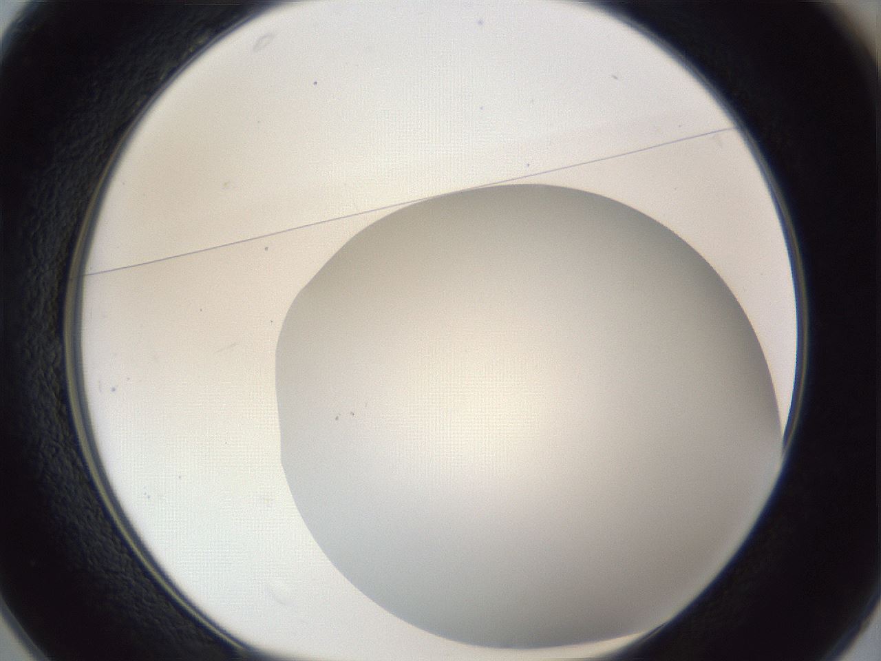 folderID165_plateID1165_batchID3067_wellNum25_profileID1_d1_r61135_ef.jpg