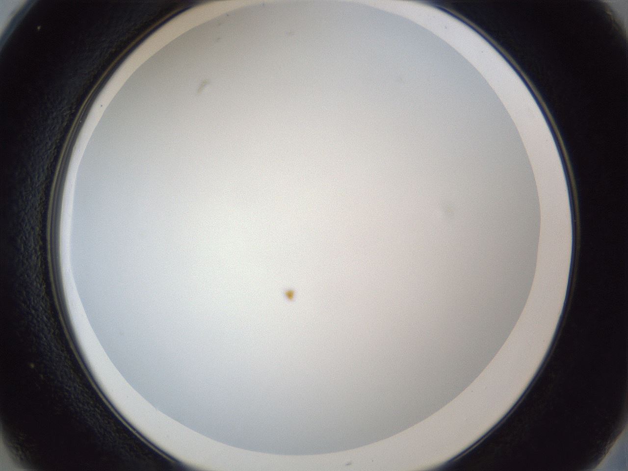 folderID165_plateID1165_batchID3067_wellNum25_profileID1_d2_r61136_ef.jpg