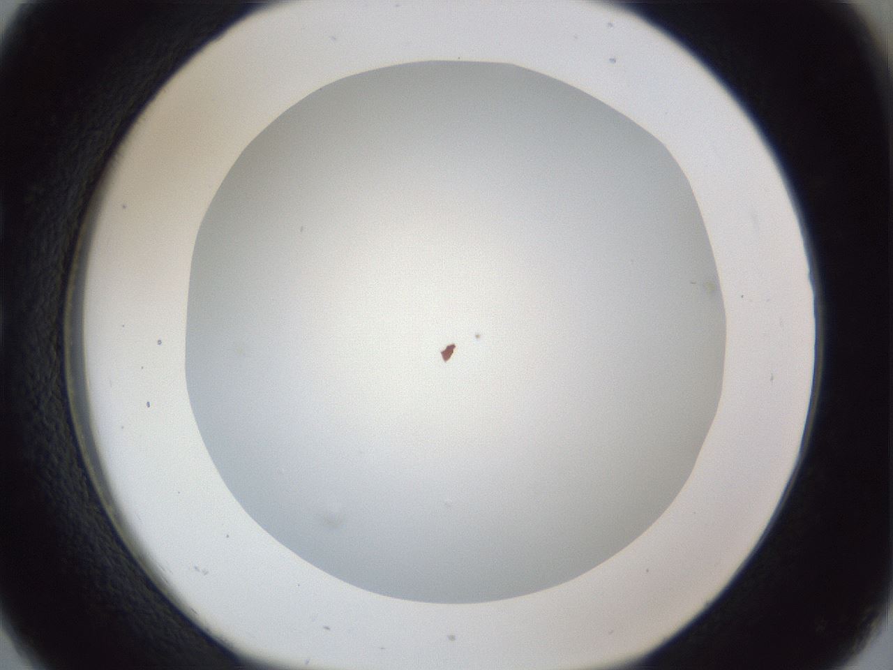 folderID165_plateID1165_batchID3067_wellNum26_profileID1_d1_r61137_ef.jpg
