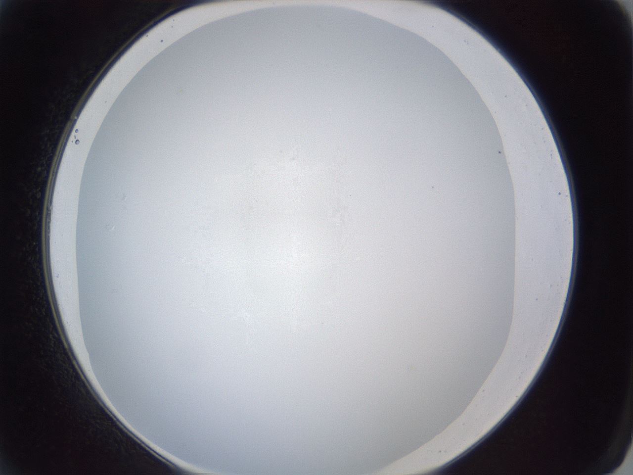 folderID165_plateID1165_batchID3067_wellNum2_profileID1_d2_r61090_ef.jpg