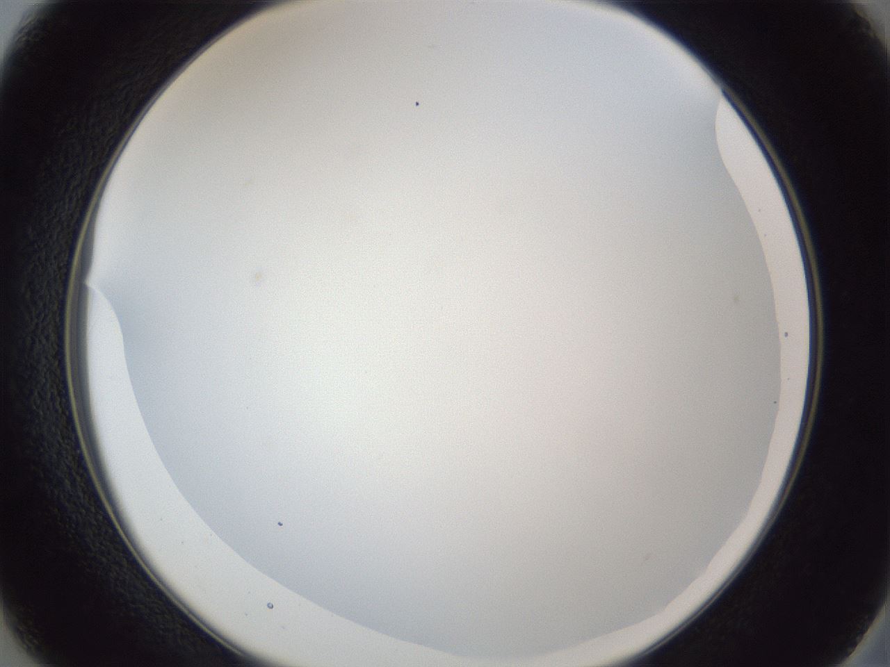 folderID165_plateID1165_batchID3067_wellNum37_profileID1_d2_r61160_ef.jpg