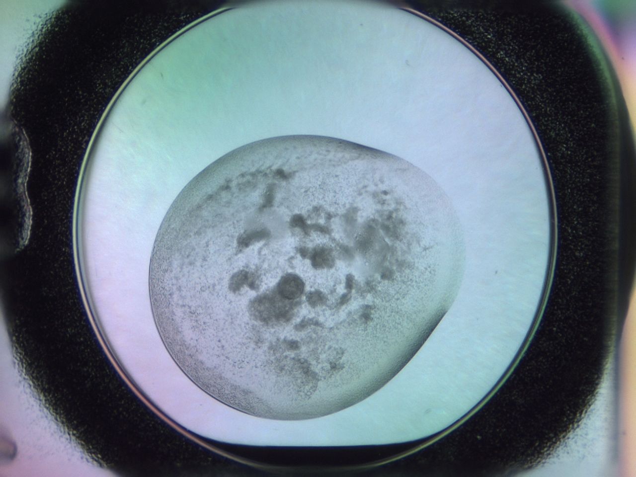 02i2_B6_ImagerDefaults_6.jpg