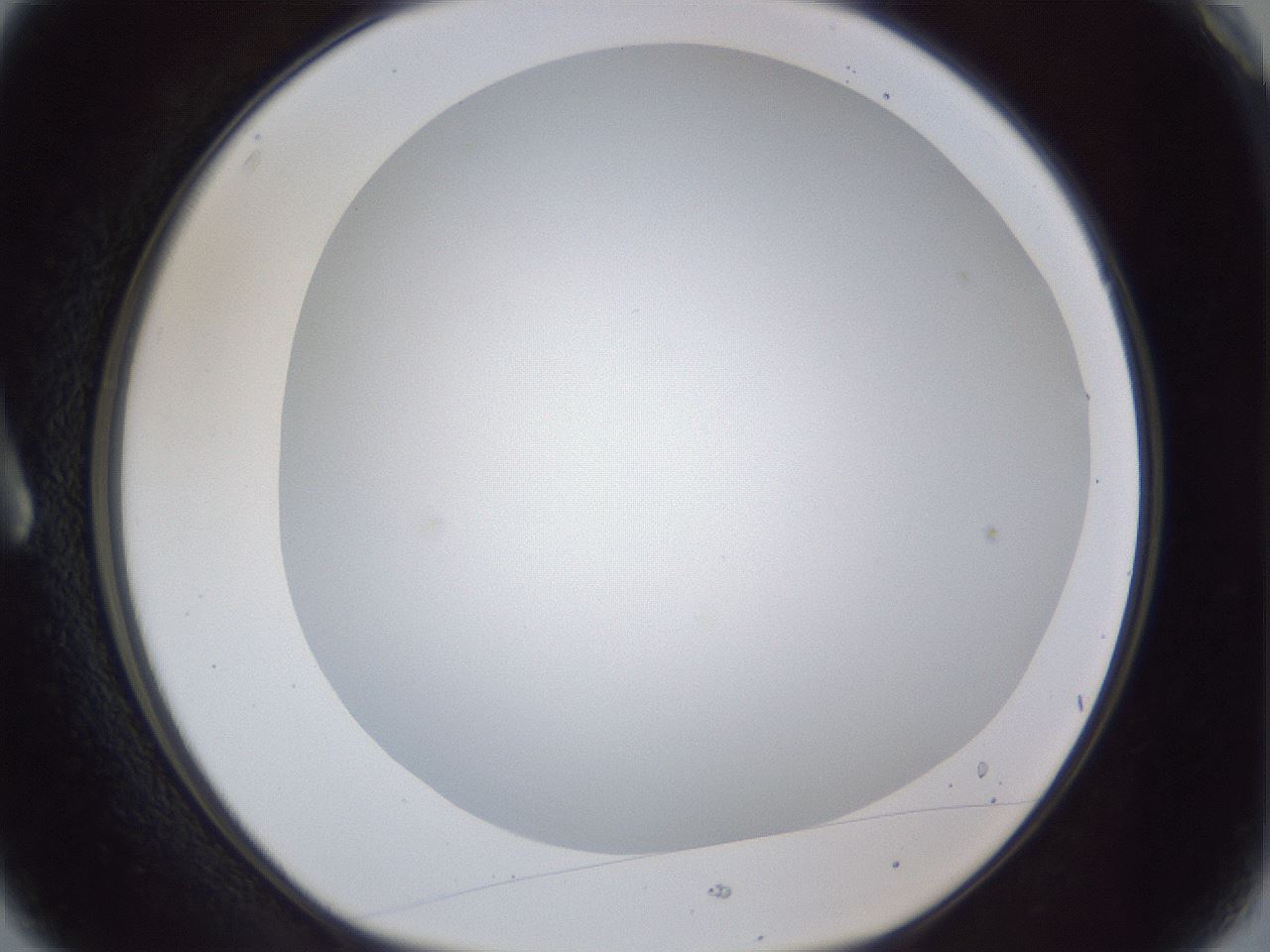 folderID165_plateID1165_batchID3067_wellNum3_profileID1_d1_r61091_ef.jpg