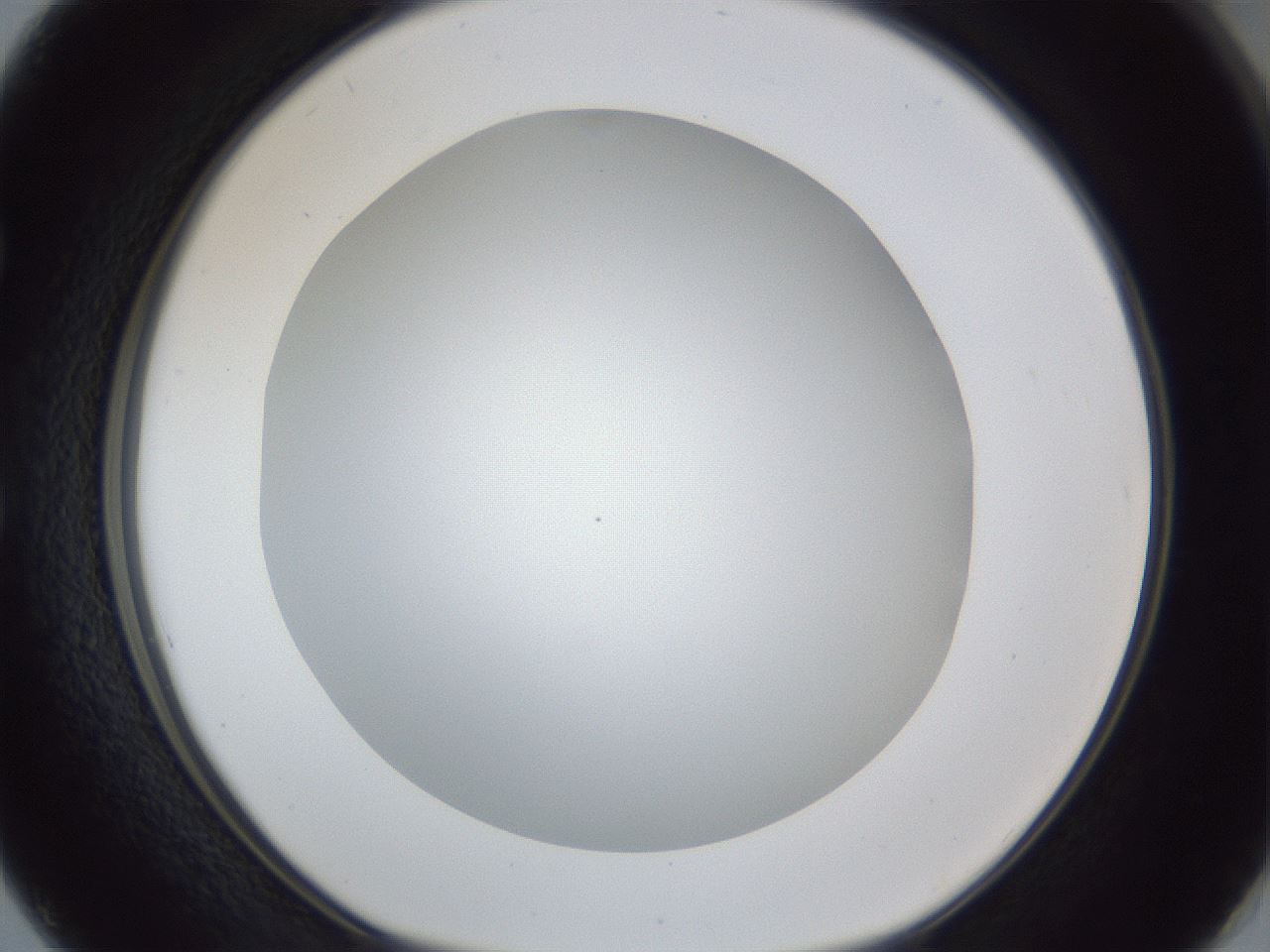 folderID165_plateID1165_batchID3067_wellNum50_profileID1_d1_r61185_ef.jpg
