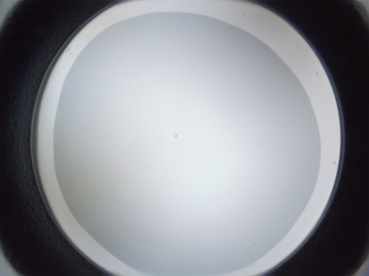 folderID165_plateID1165_batchID3067_wellNum50_profileID1_d2_r61186_ef.jpg