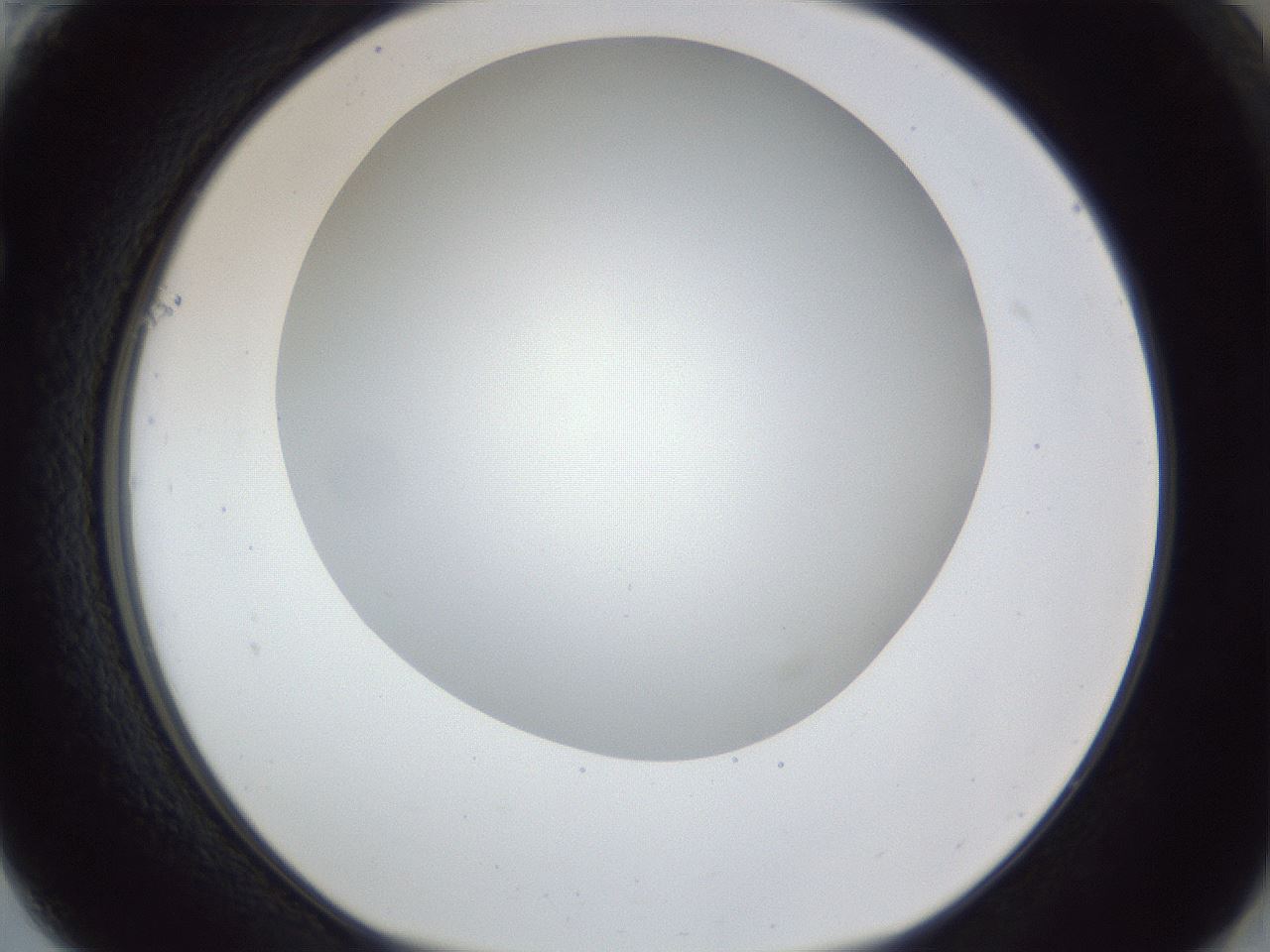 folderID165_plateID1165_batchID3067_wellNum61_profileID1_d1_r61207_ef.jpg
