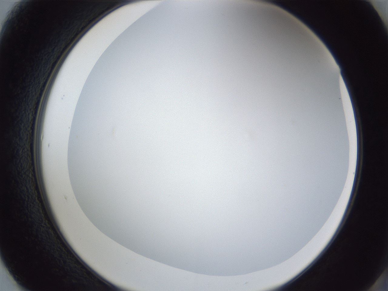folderID165_plateID1165_batchID3067_wellNum61_profileID1_d2_r61208_ef.jpg