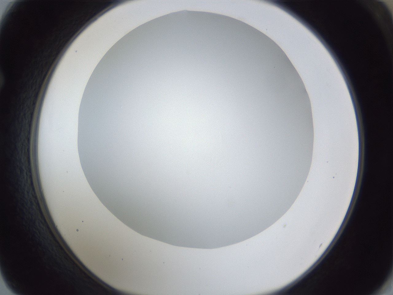 folderID165_plateID1165_batchID3067_wellNum62_profileID1_d1_r61209_ef.jpg