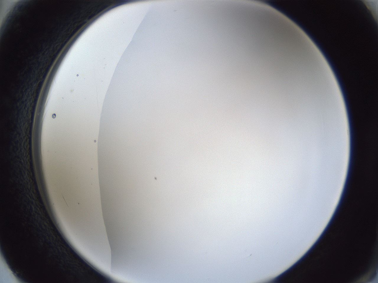 folderID165_plateID1165_batchID3067_wellNum62_profileID1_d2_r61210_ef.jpg