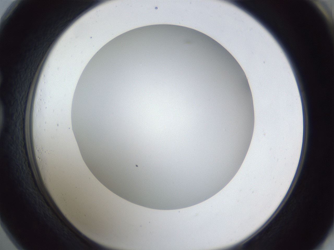 folderID165_plateID1165_batchID3067_wellNum73_profileID1_d1_r61231_ef.jpg