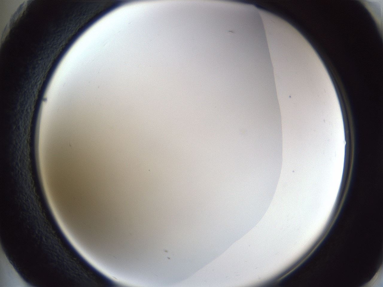 folderID165_plateID1165_batchID3067_wellNum73_profileID1_d2_r61232_ef.jpg