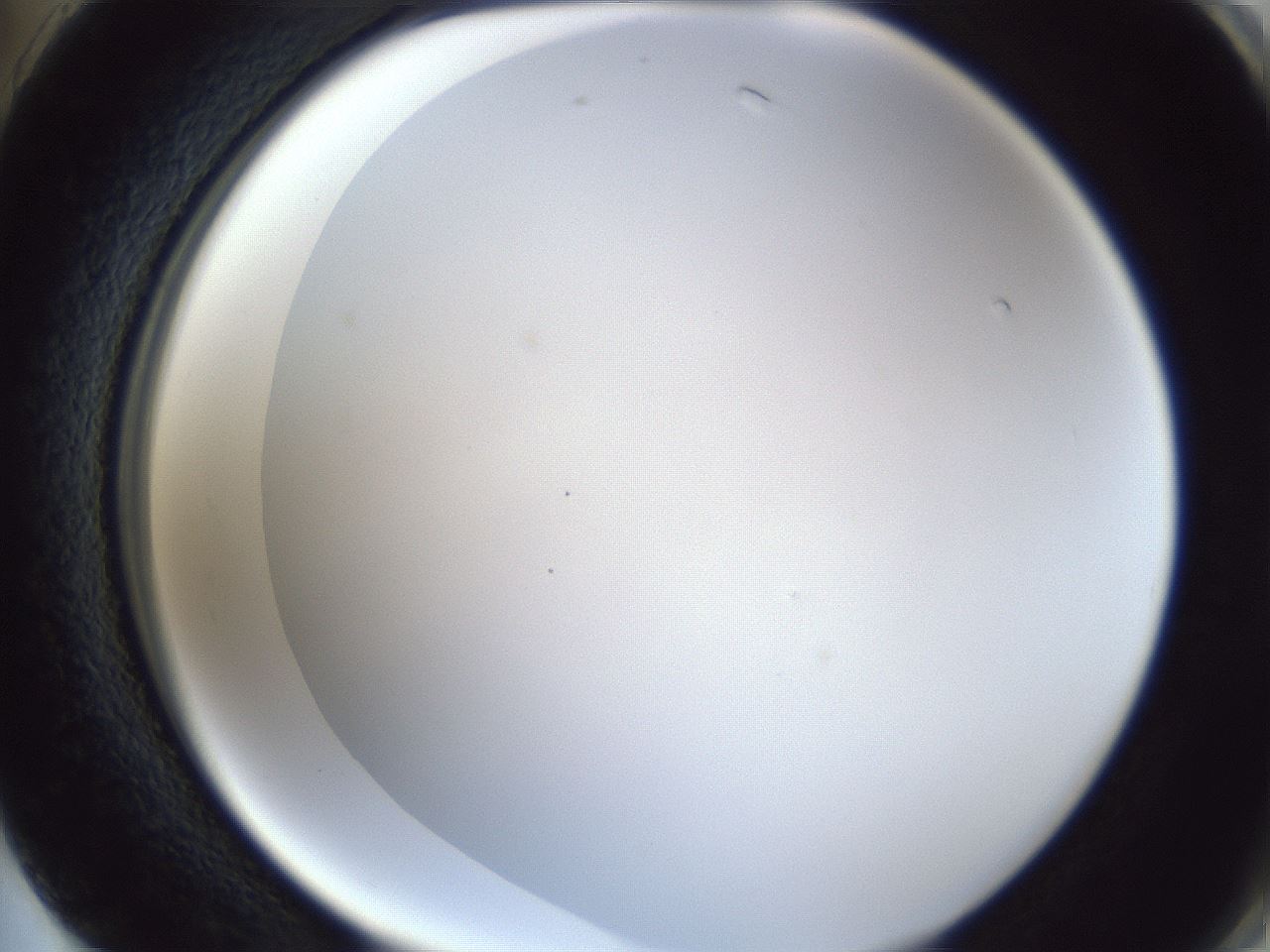 folderID165_plateID1165_batchID3067_wellNum74_profileID1_d2_r61234_ef.jpg