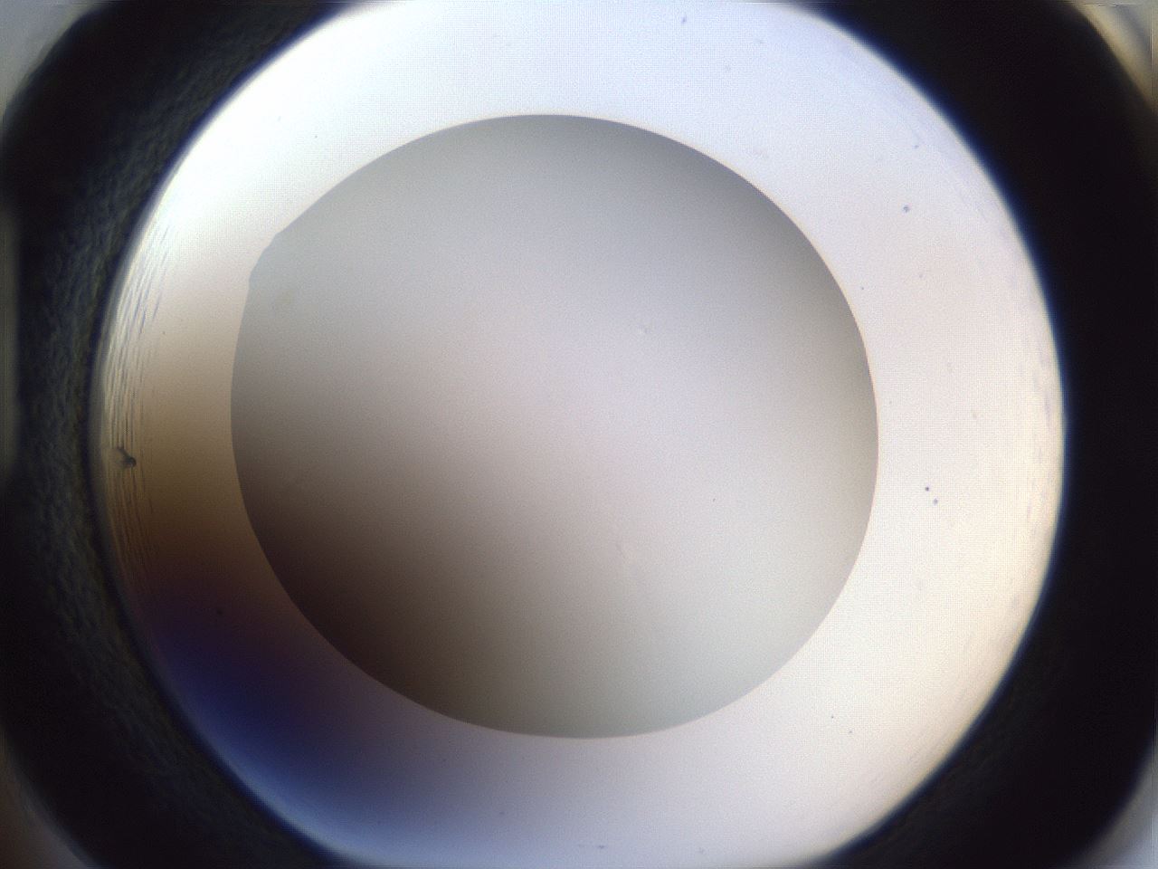 folderID165_plateID1165_batchID3067_wellNum85_profileID1_d1_r61255_ef.jpg