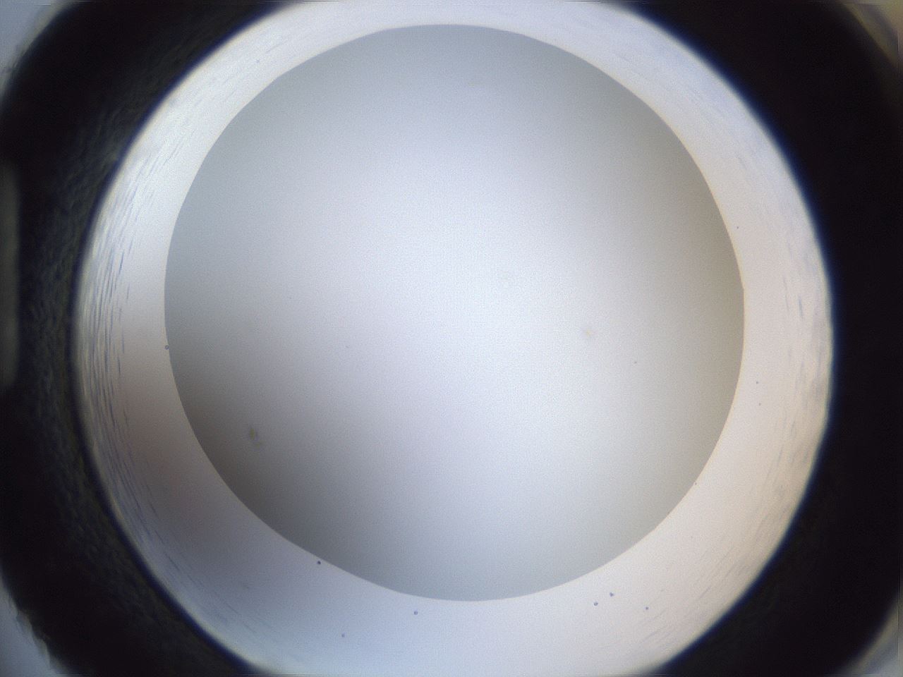 folderID165_plateID1165_batchID3067_wellNum86_profileID1_d1_r61257_ef.jpg