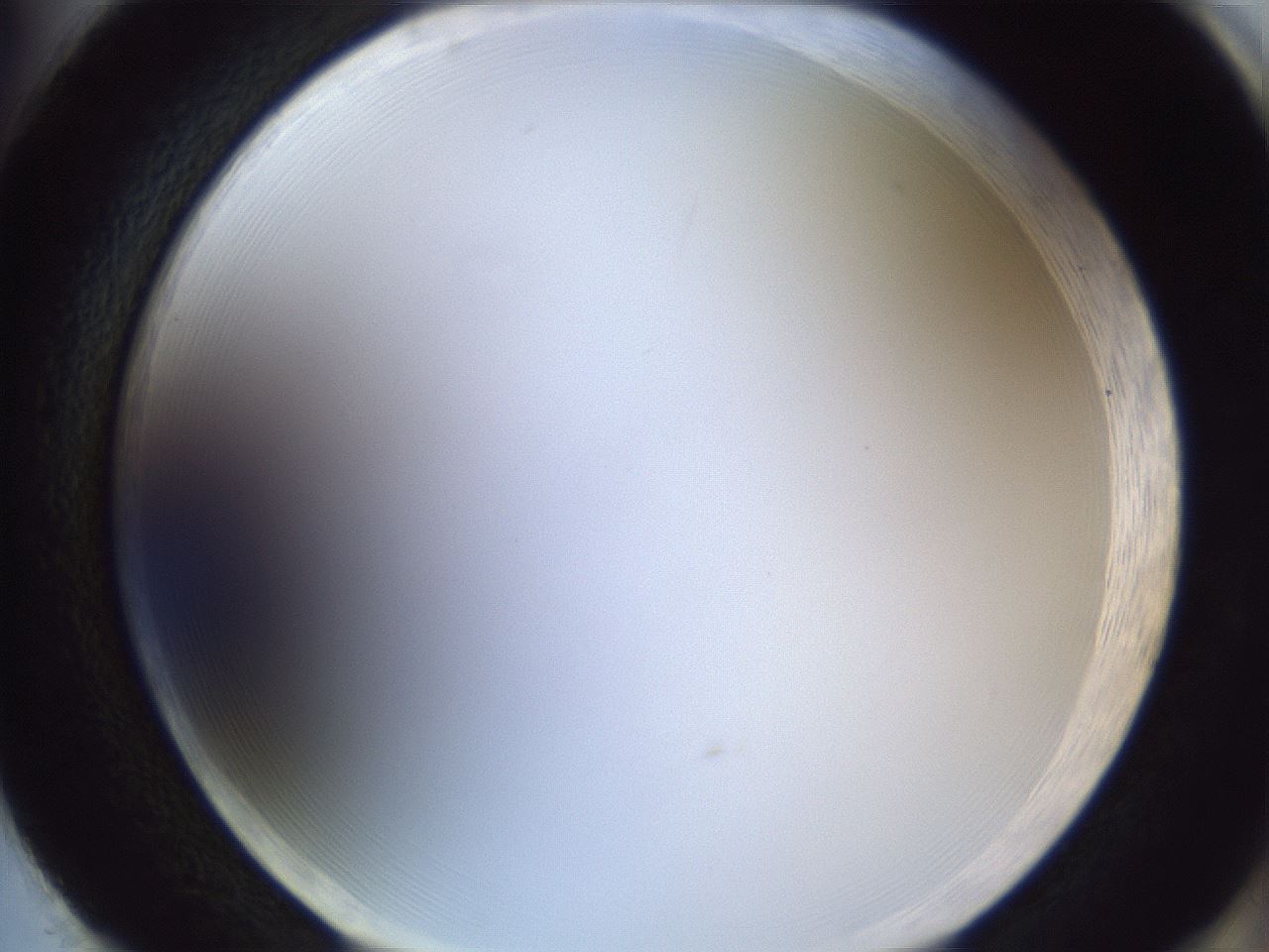 folderID165_plateID1165_batchID3067_wellNum86_profileID1_d2_r61258_ef.jpg