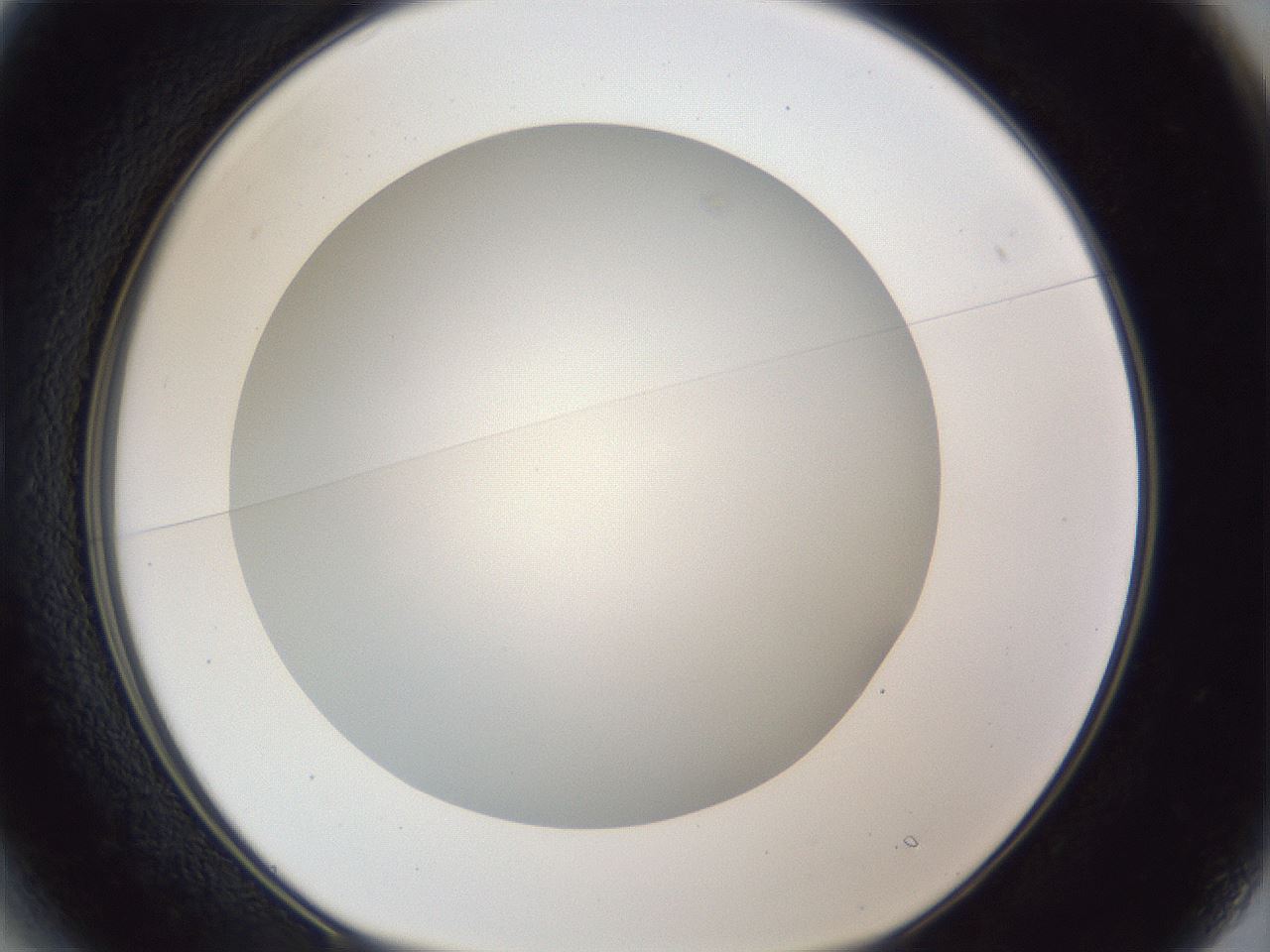folderID165_plateID1165_batchID3120_wellNum13_profileID1_d1_r61111_ef.jpg