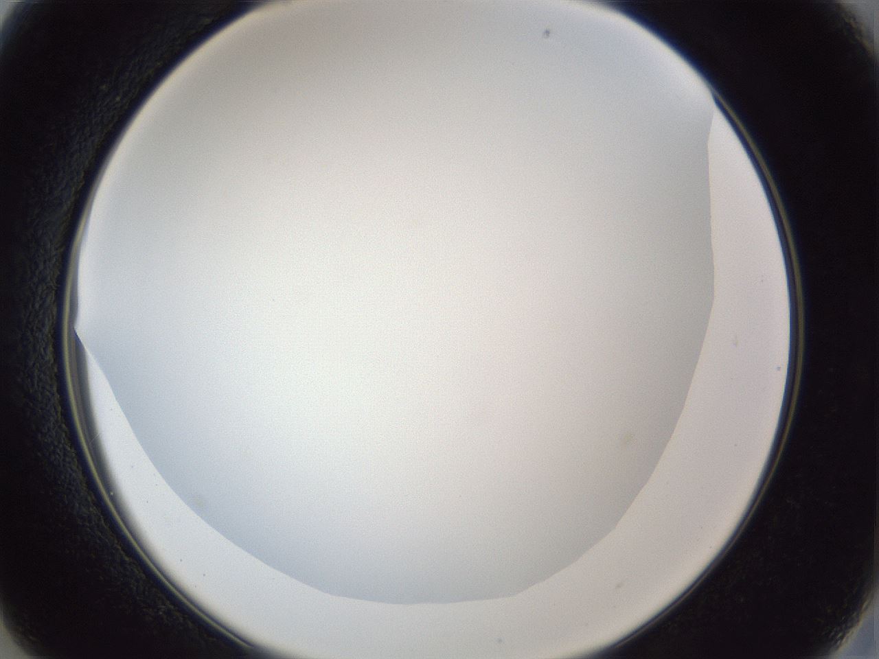 folderID165_plateID1165_batchID3120_wellNum13_profileID1_d2_r61112_ef.jpg