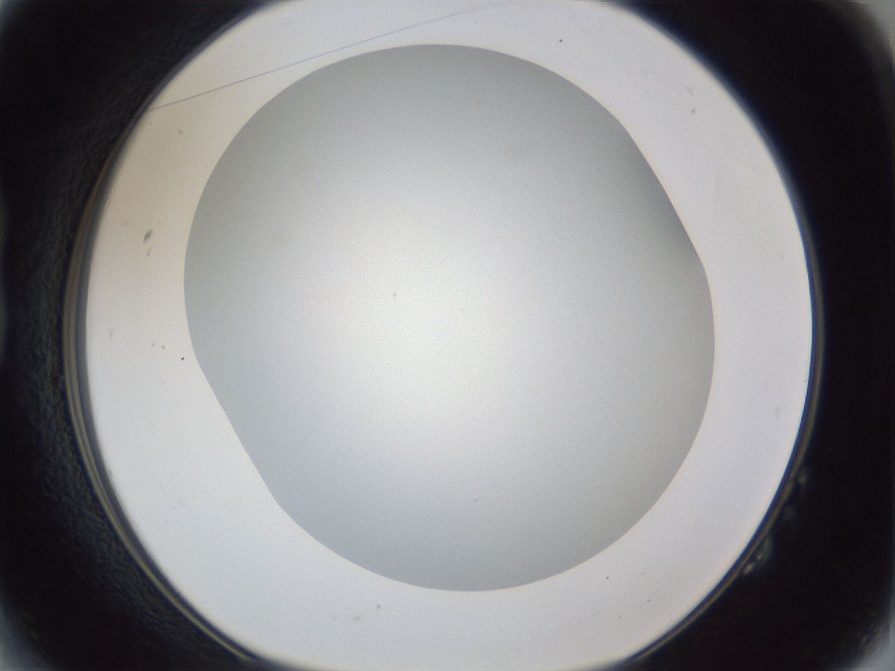 folderID165_plateID1165_batchID3120_wellNum14_profileID1_d1_r61113_ef.jpg