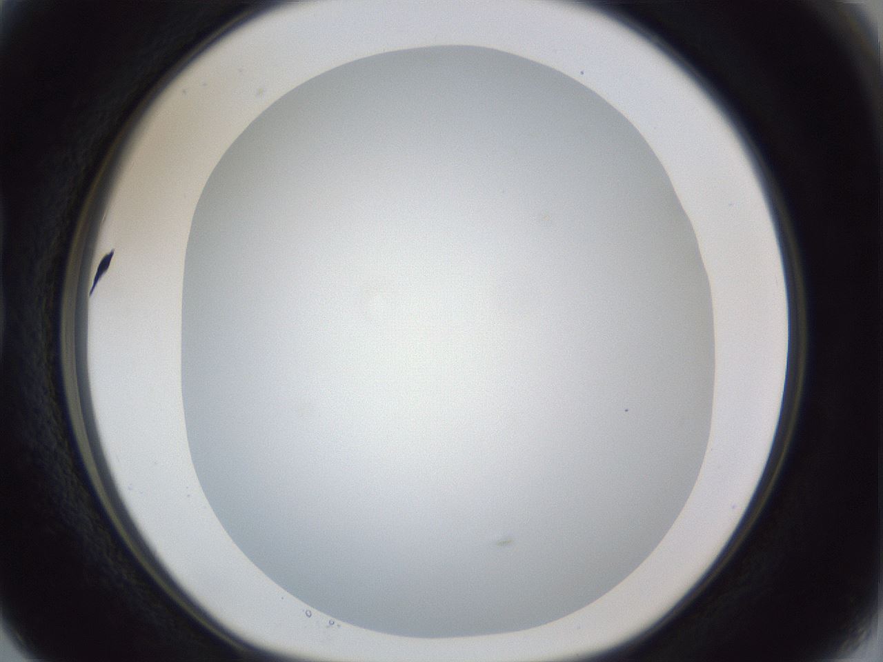folderID165_plateID1165_batchID3120_wellNum15_profileID1_d1_r61115_ef.jpg
