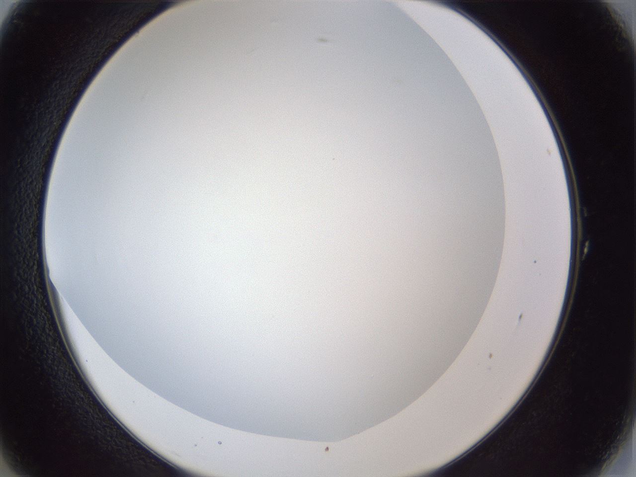 folderID165_plateID1165_batchID3120_wellNum1_profileID1_d2_r61088_ef.jpg