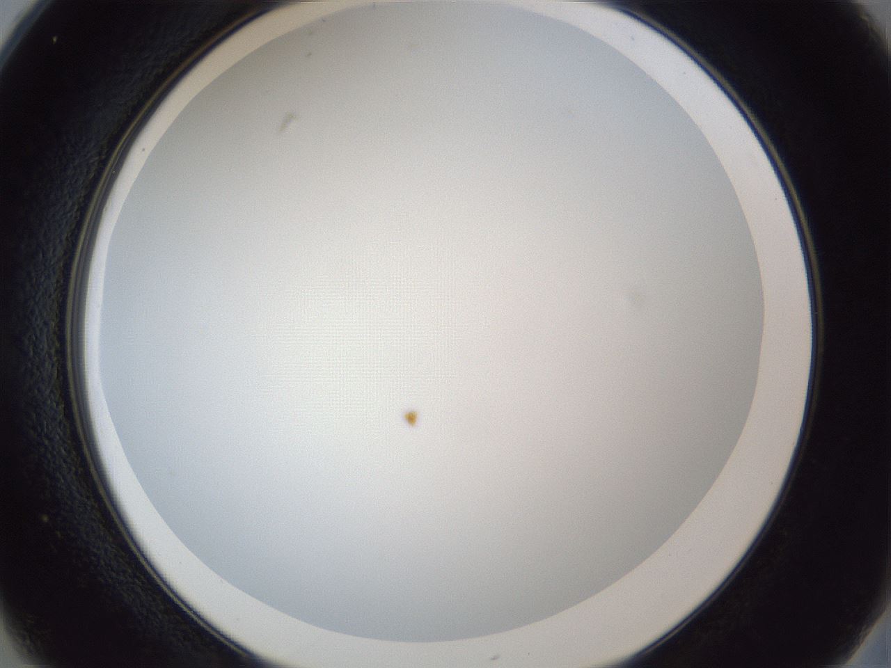 folderID165_plateID1165_batchID3120_wellNum25_profileID1_d2_r61136_ef.jpg
