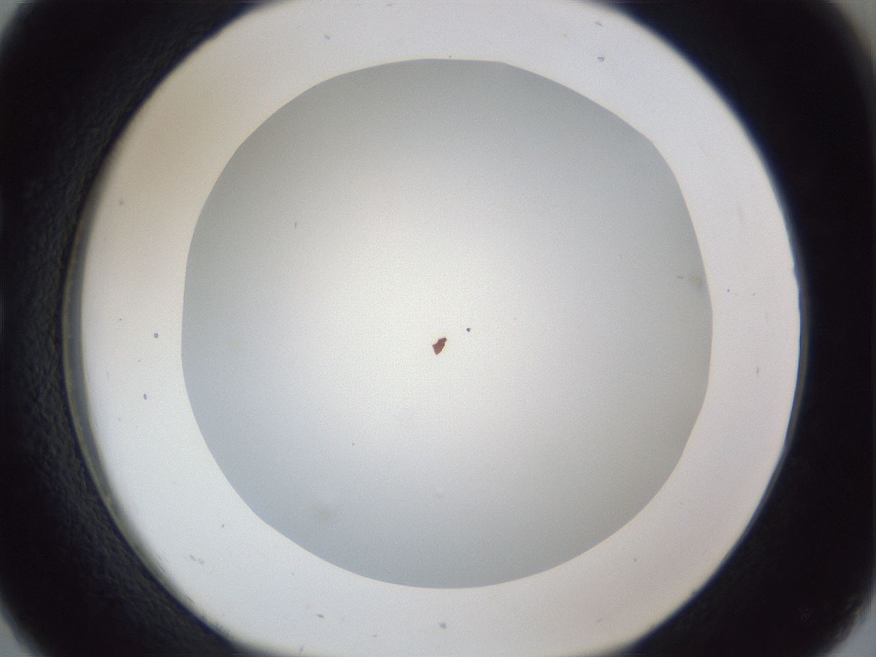 folderID165_plateID1165_batchID3120_wellNum26_profileID1_d1_r61137_ef.jpg