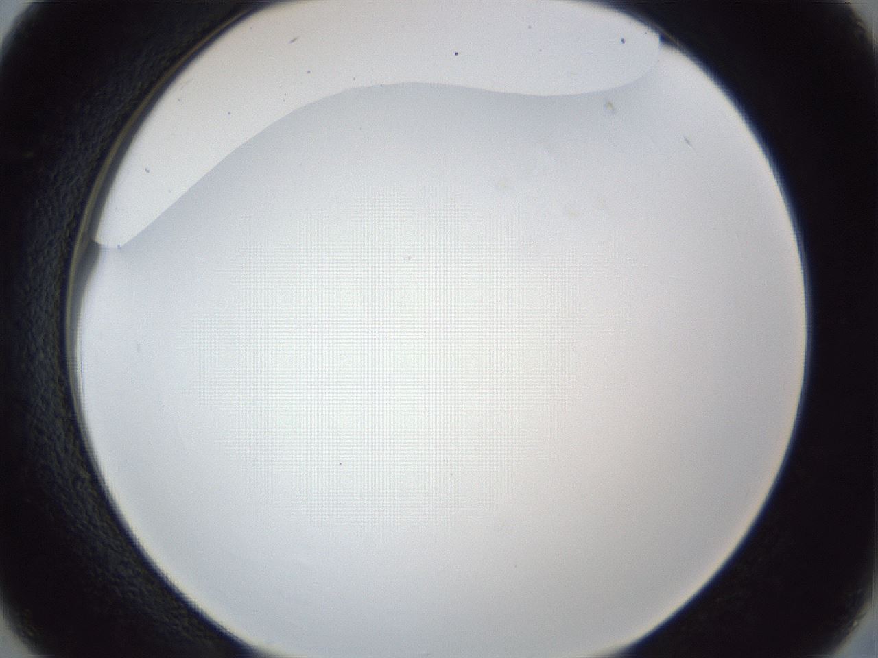 folderID165_plateID1165_batchID3120_wellNum26_profileID1_d2_r61138_ef.jpg