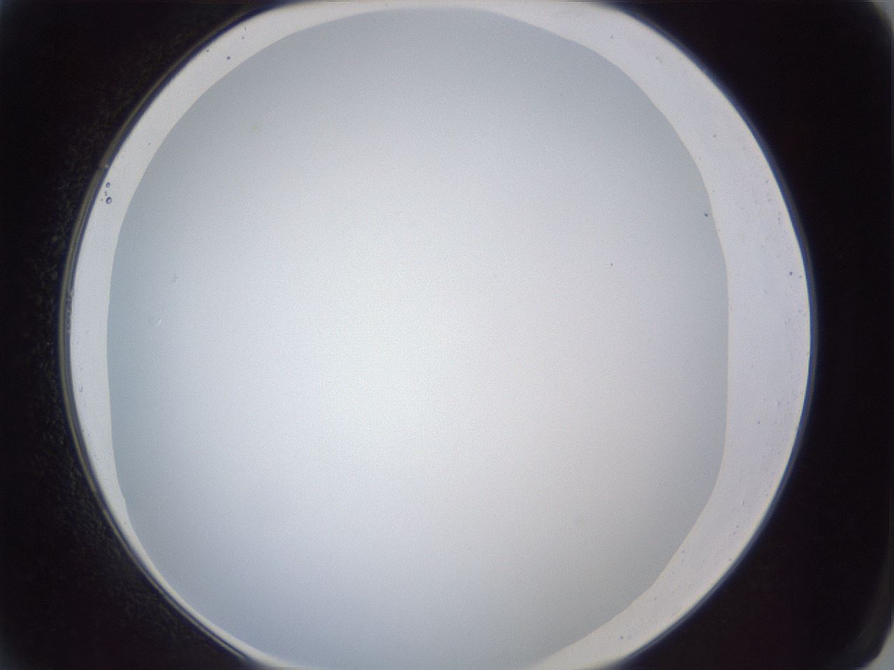 folderID165_plateID1165_batchID3120_wellNum2_profileID1_d2_r61090_ef.jpg