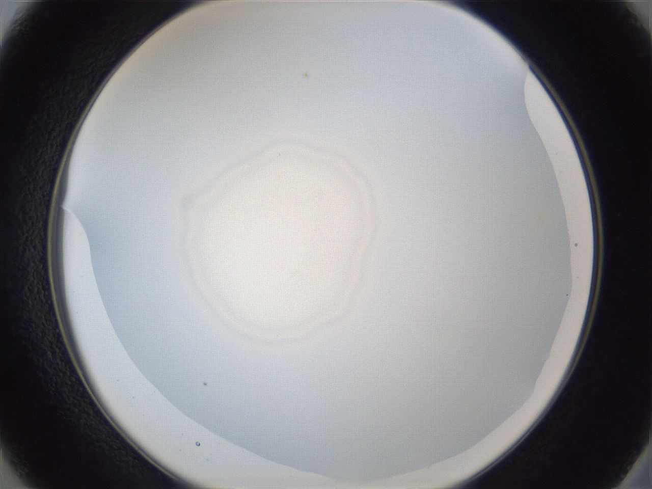folderID165_plateID1165_batchID3120_wellNum37_profileID1_d2_r61160_ef.jpg