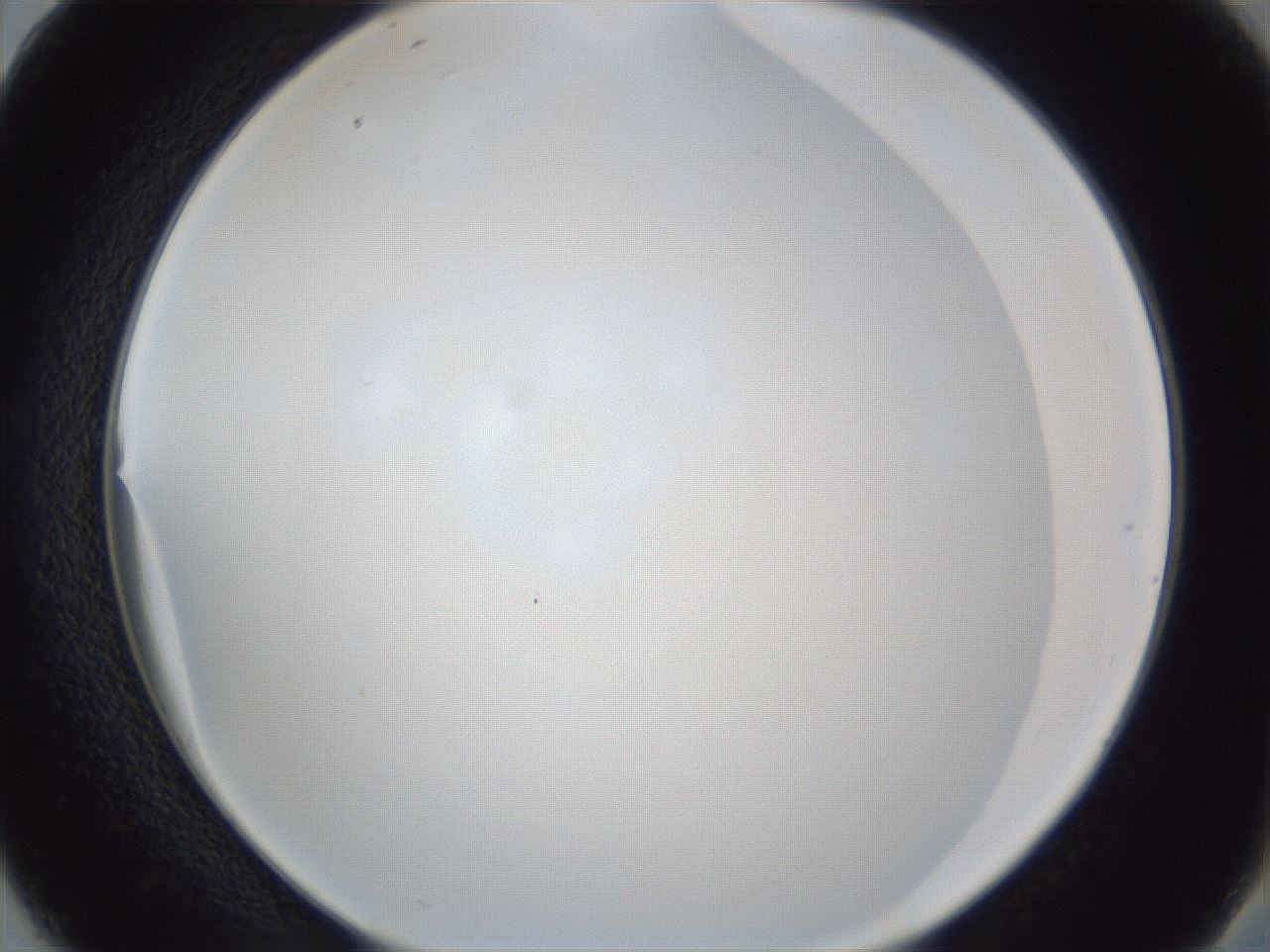 folderID165_plateID1165_batchID3120_wellNum38_profileID1_d2_r61162_ef.jpg