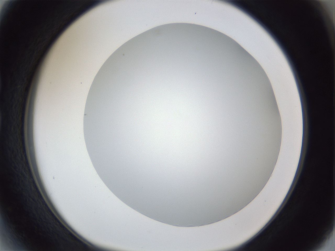 folderID165_plateID1165_batchID3120_wellNum27_profileID1_d1_r61139_ef.jpg