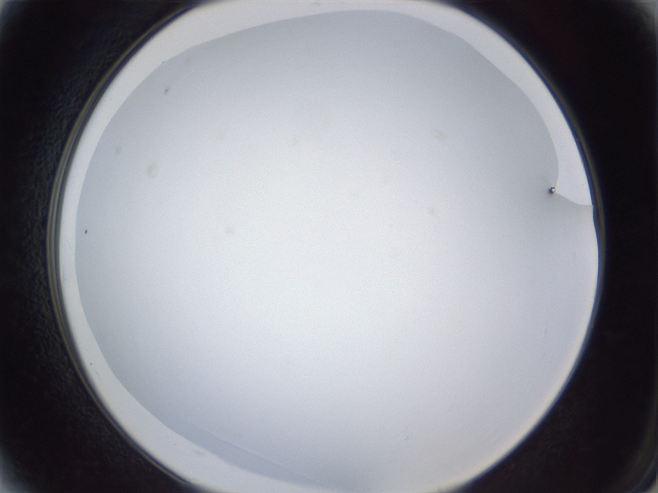 folderID165_plateID1165_batchID3120_wellNum3_profileID1_d2_r61092_ef.jpg