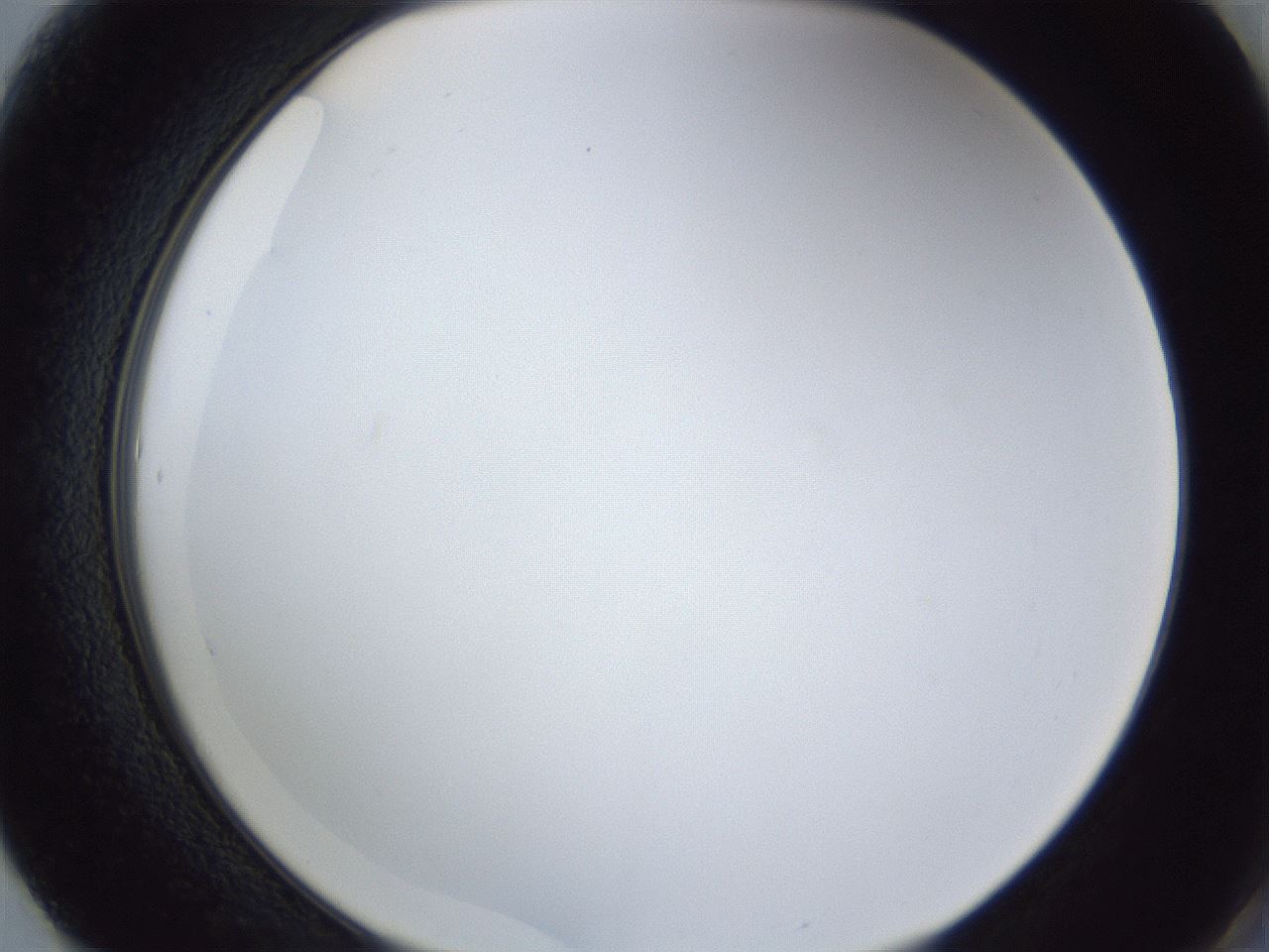 folderID166_plateID1166_batchID3122_wellNum61_profileID1_d2_r61400_ef.jpg