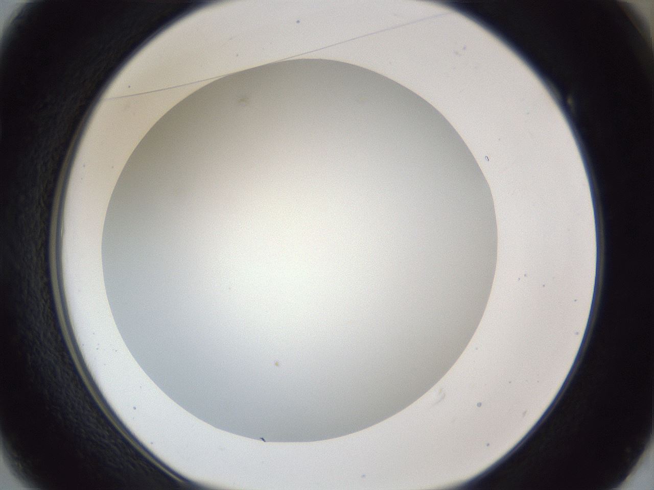 folderID165_plateID1165_batchID3120_wellNum49_profileID1_d1_r61183_ef.jpg