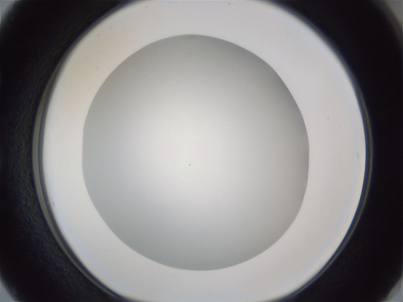 folderID165_plateID1165_batchID3120_wellNum50_profileID1_d1_r61185_ef.jpg