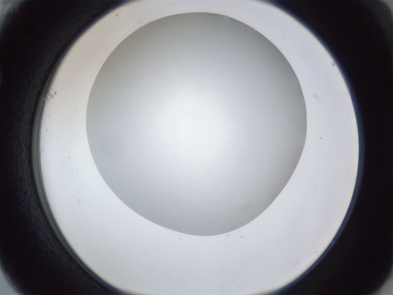 folderID165_plateID1165_batchID3120_wellNum61_profileID1_d1_r61207_ef.jpg
