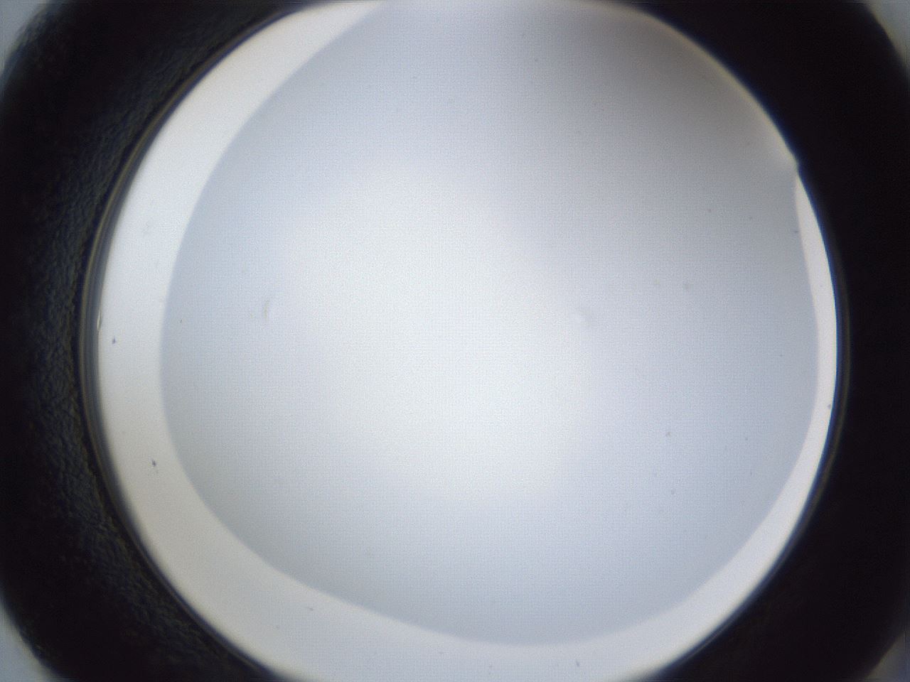 folderID165_plateID1165_batchID3120_wellNum61_profileID1_d2_r61208_ef.jpg