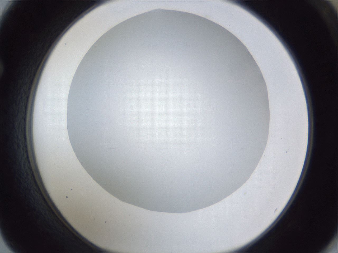 folderID165_plateID1165_batchID3120_wellNum62_profileID1_d1_r61209_ef.jpg