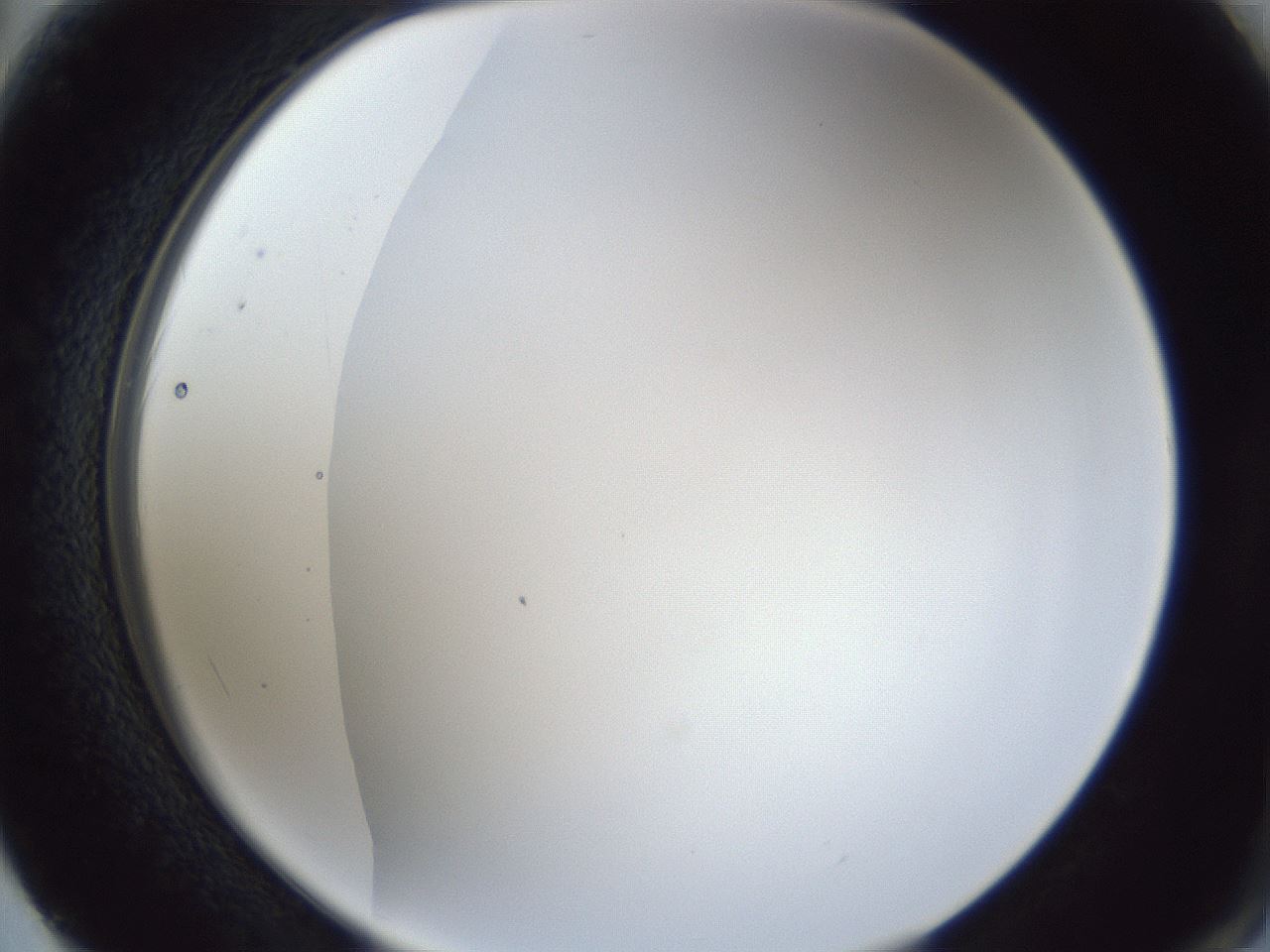 folderID165_plateID1165_batchID3120_wellNum62_profileID1_d2_r61210_ef.jpg