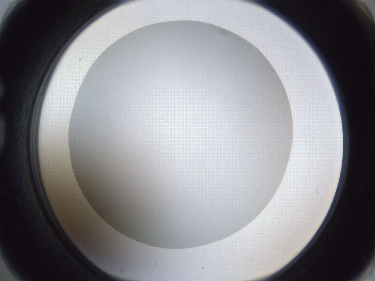 folderID165_plateID1165_batchID3120_wellNum74_profileID1_d1_r61233_ef.jpg