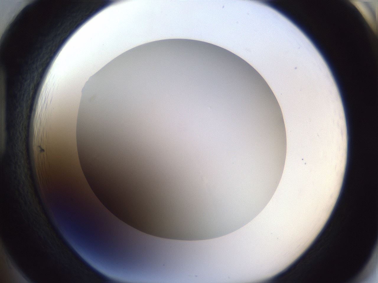 folderID165_plateID1165_batchID3120_wellNum85_profileID1_d1_r61255_ef.jpg