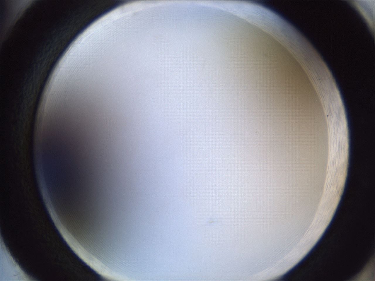 folderID165_plateID1165_batchID3120_wellNum86_profileID1_d2_r61258_ef.jpg