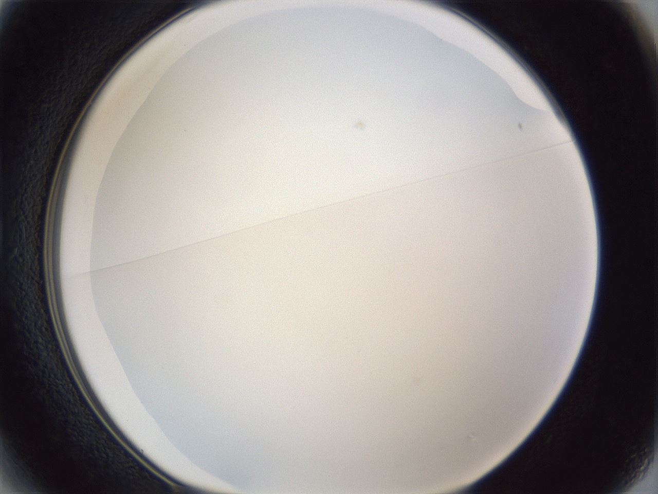 folderID166_plateID1166_batchID3069_wellNum13_profileID1_d1_r61303_ef.jpg