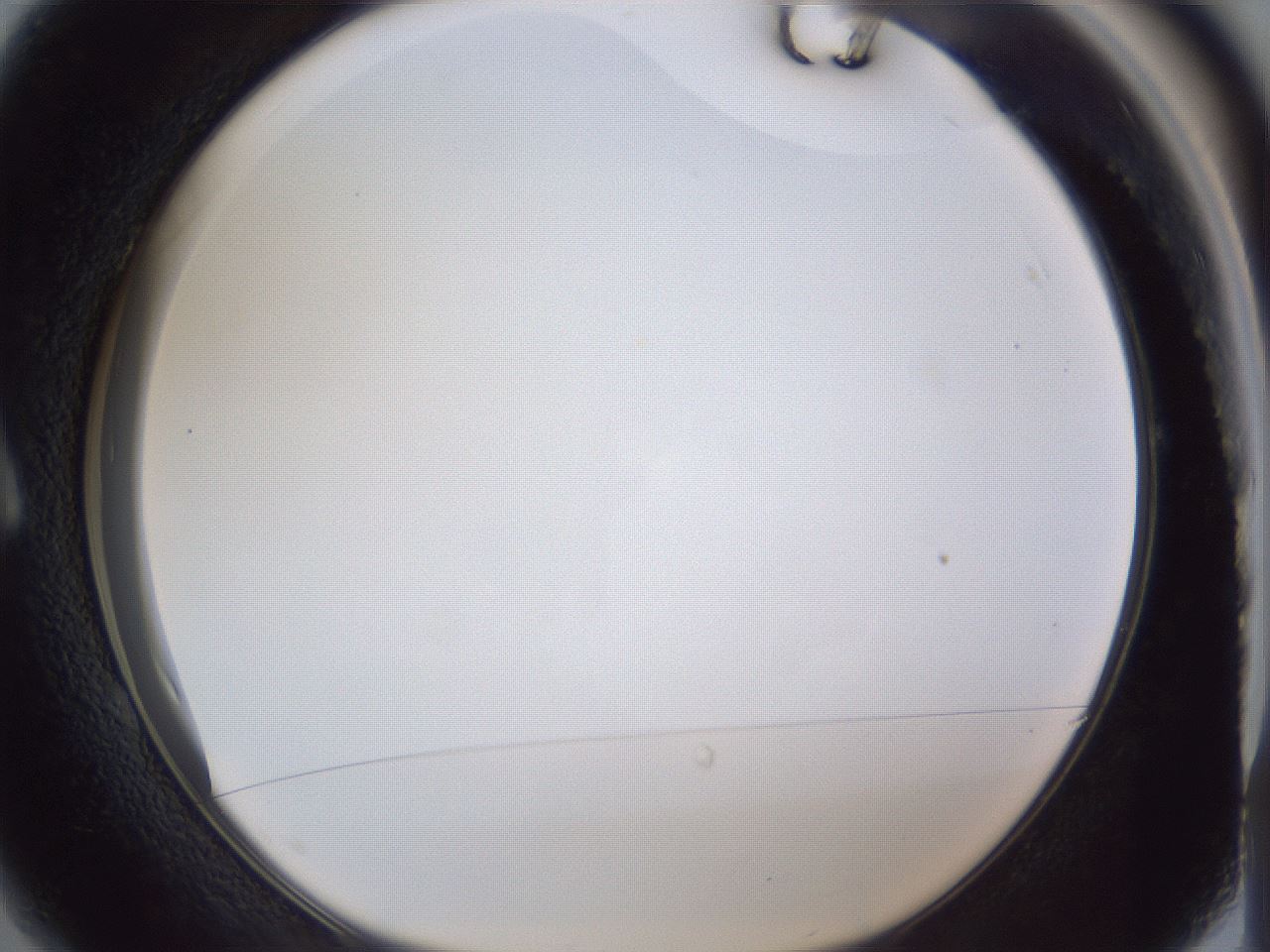 folderID166_plateID1166_batchID3069_wellNum1_profileID1_d1_r61279_ef.jpg
